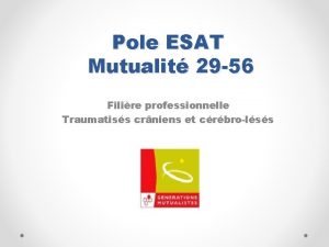 Pole ESAT Mutualit 29 56 Filire professionnelle Traumatiss