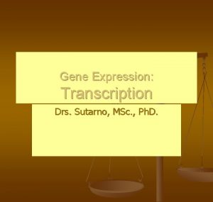 Gene Expression Transcription Drs Sutarno MSc Ph D
