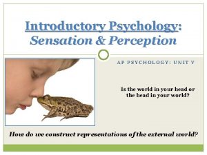 Introductory Psychology Sensation Perception AP PSYCHOLOGY UNIT V