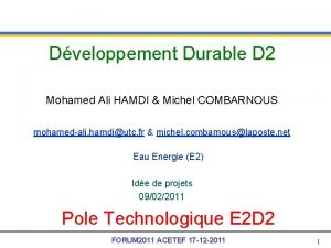 Dveloppement Durable D 2 Mohamed Ali HAMDI Michel