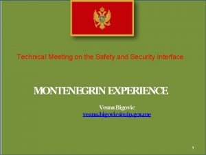 Technical Meeting on the Safety and Security Interface