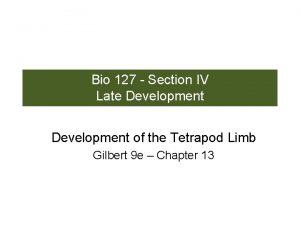 Bio 127 Section IV Late Development of the