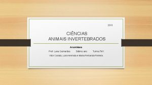 2019 CINCIAS ANIMAIS INVERTEBRADOS Aracndeos Prof Lana Guimares