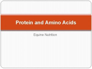 Protein and Amino Acids Equine Nutrition Introduction Protein