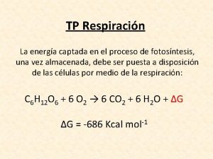 TP Respiracin La energa captada en el proceso