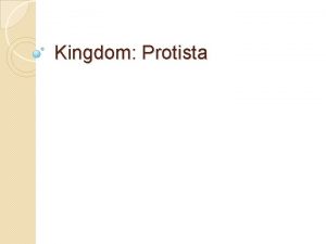Kingdom Protista Amoeba sp Kingdom Protista Phylum Sarcomastigophora