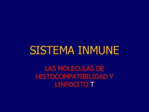 SISTEMA INMUNE LAS MOLECULAS DE HISTOCOMPATIBILIDAD Y LINFOCITO