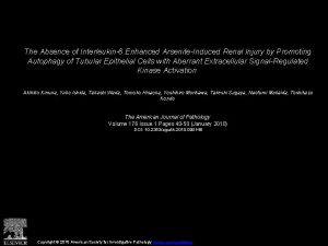 The Absence of Interleukin6 Enhanced ArseniteInduced Renal Injury