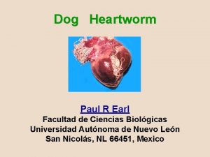 Dog Heartworm Paul R Earl Facultad de Ciencias