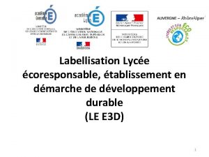 Labellisation Lyce coresponsable tablissement en dmarche de dveloppement