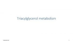 Triacylglycerol metabolism Michael Palmer 2019 1 Foodstuffs and