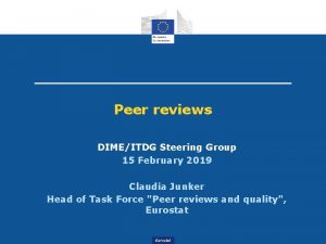 Peer reviews DIMEITDG Steering Group 15 February 2019