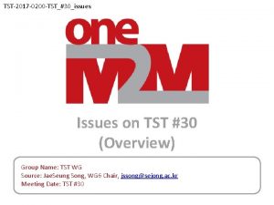 TST2017 0200 TST30issues Issues on TST 30 Overview