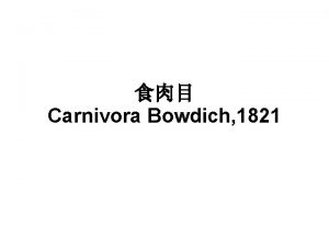 Carnivora Bowdich 1821 Arctoidea Canidae Ursidae Ailuropodidae Procyonidae