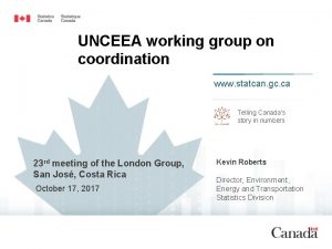 UNCEEA working group on coordination www statcan gc