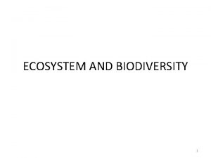 ECOSYSTEM AND BIODIVERSITY 1 ECOSYSTEM Defined area in
