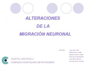 ALTERACIONES DE LA MIGRACIN NEURONAL AUTORES Laura Ortiz