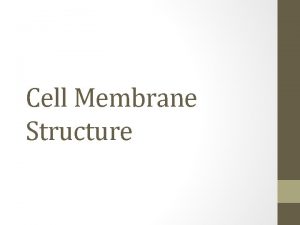 Cell Membrane Structure Fluid Mosaic The cell membrane