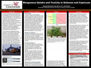 Manganese Uptake and Toxicity in Solanum and Capiscum