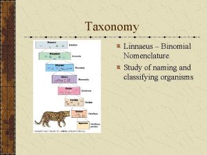 Taxonomy Linnaeus Binomial Nomenclature Study of naming and