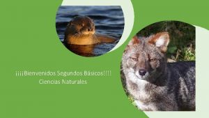 Bienvenidos Segundos Bsicos Ciencias Naturales Comprensin de la