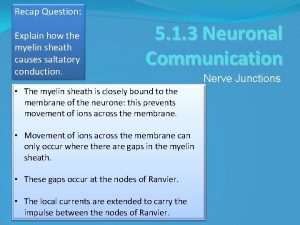 Recap Question Explain how the myelin sheath causes