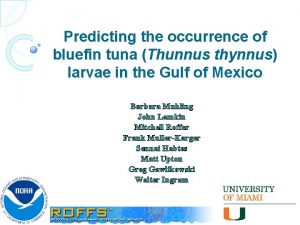 Predicting the occurrence of bluefin tuna Thunnus thynnus