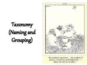 Taxonomy Naming and Grouping Why is a naming