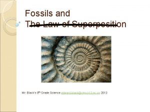 Fossils and The Law of Superposition Mr Blacks