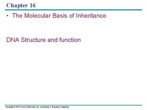 Chapter 16 The Molecular Basis of Inheritance DNA