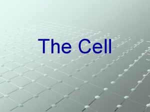 The Cell Robert Hooke 1665 British scientist Used