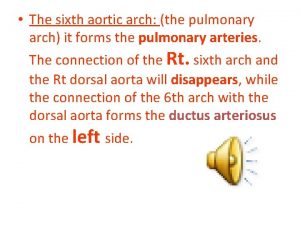 The sixth aortic arch the pulmonary arch it