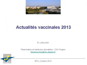 Actualits vaccinales 2013 B Leboucher Ranimation et mdecine