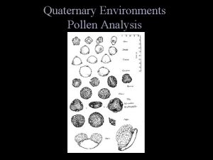 Quaternary Environments Pollen Analysis Pollen Analysis T T