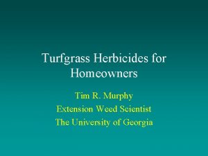 Turfgrass Herbicides for Homeowners Tim R Murphy Extension