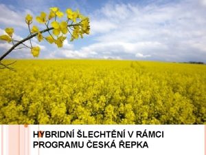 HYBRIDN LECHTN V RMCI PROGRAMU ESK EPKA PRO