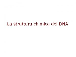 La struttura chimica del DNA Componenti chimici degli