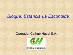 Bloque Estancia La Escondida Operador Colhu Huapi S