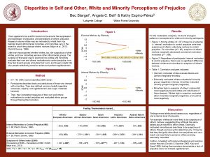 Disparities in Self and Other White and Minority