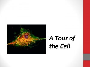 A Tour of the Cell Cytology sciencestudy of