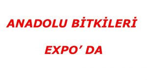 ANADOLU BTKLER EXPO DA Anadolu Bitkileri EXPO da