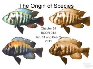 The Origin of Species Chapter 24 BCOR 012