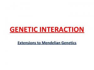 GENETIC INTERACTION Extensions to Mendelian Genetics GENETIC INTERACTION