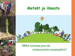 Metst ja ilmasto Miksi istuttaa puu tai mieluummin