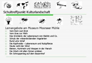 Schultreffpunkt Kulturlandschaft Lernangebote am Museum Moorseer Mhle o