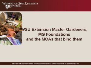 WSU Extension Master Gardeners MG Foundations and the