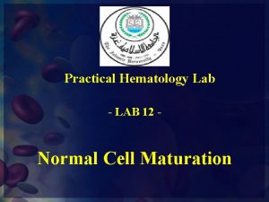 Practical Hematology Lab LAB 12 Normal Cell Maturation