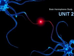 Brain Hemispheres Study UNIT 2 Hemispheric Specialization Corpus