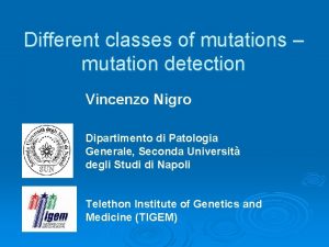 Different classes of mutations mutation detection Vincenzo Nigro