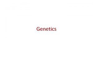 Genetics Pine seeds grow into pine trees Nile